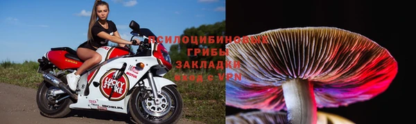 эйфоретик Новодвинск