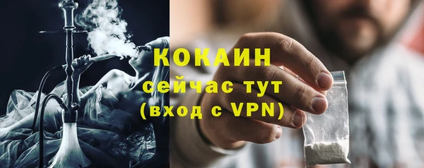 эйфоретик Новодвинск